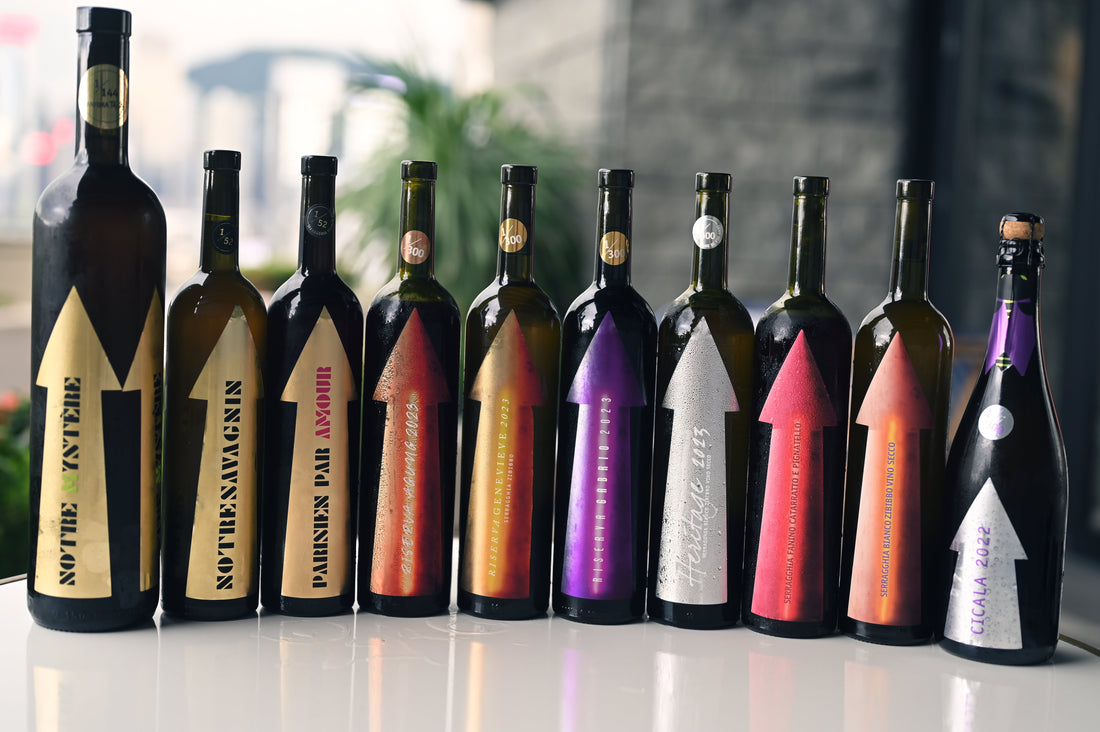 Gabrio Bini: Sicily’s Avant-Garde "Chaos Architect" & Pantelleria’s Liquid Terroir