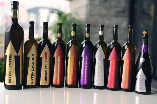 Gabrio Bini: Sicily’s Avant-Garde "Chaos Architect" & Pantelleria’s Liquid Terroir