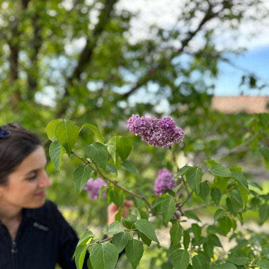 Chiara Condello winery in Predappio Valley showcasing Sangiovese wine production