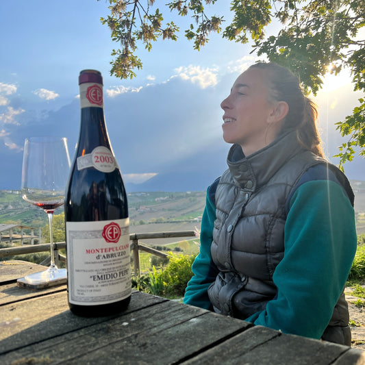 Emidio Pepe Winery vineyard in Abruzzo, Italy showing traditional winemaking