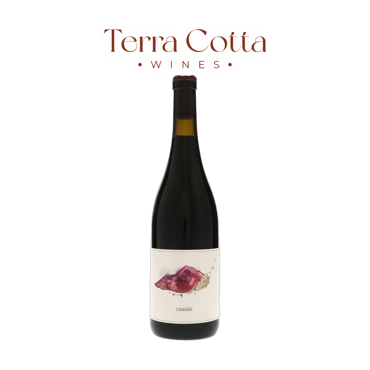 Montetino Montepulciano d'Abruzzo Le Marie 2024 wine bottle - Terra Cotta Wines