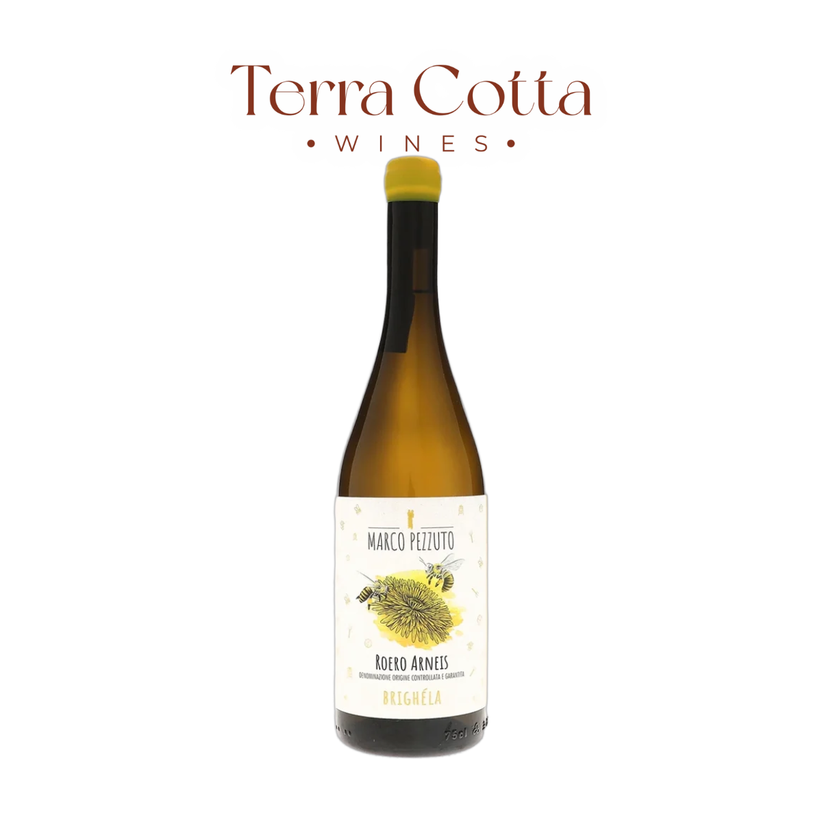 Marco Pezzuto Roero Arneis Brighéla 2025 (750ml) wine bottle - Terra Cotta Wines