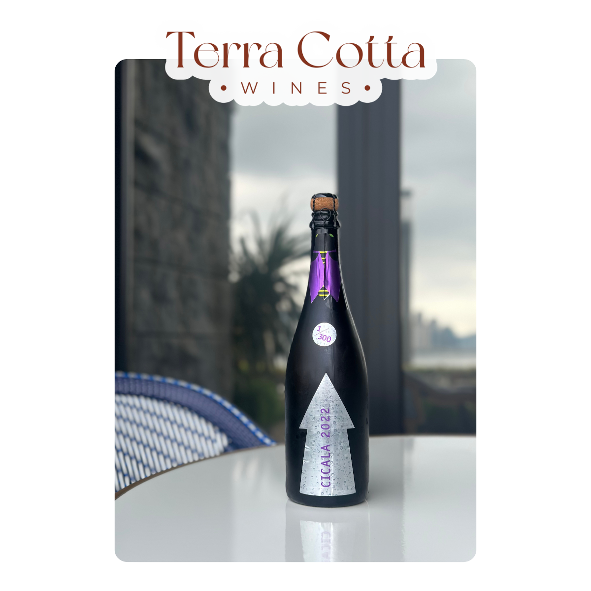 Gabrio Bini Cicala 2022 (750ml)