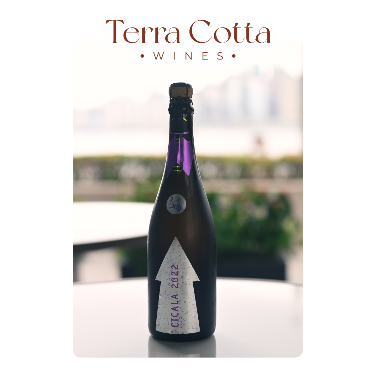 Gabrio Bini Cicala 2022 (750ml)