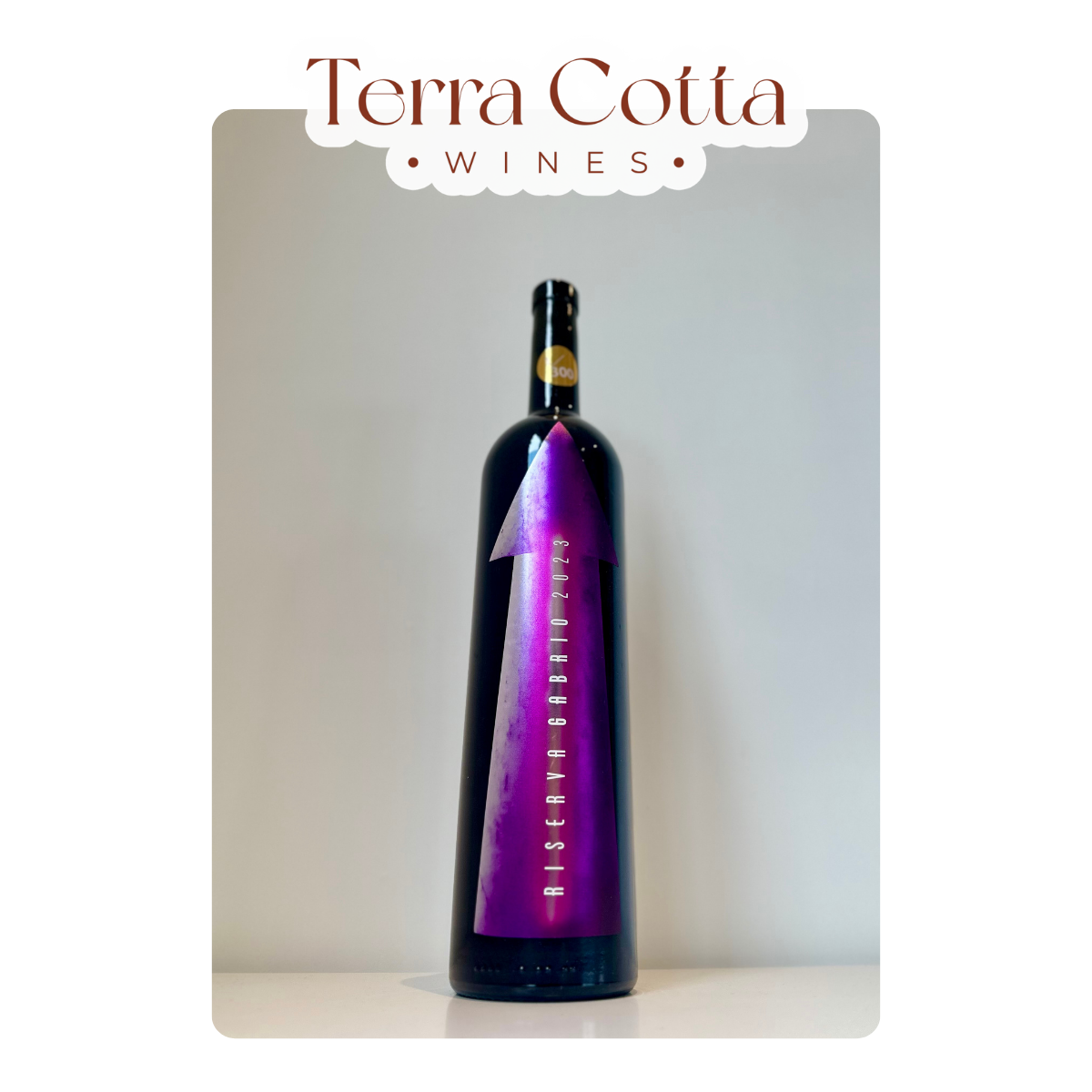 Gabrio Bini Riserva Gabrio 2023 (750ml)