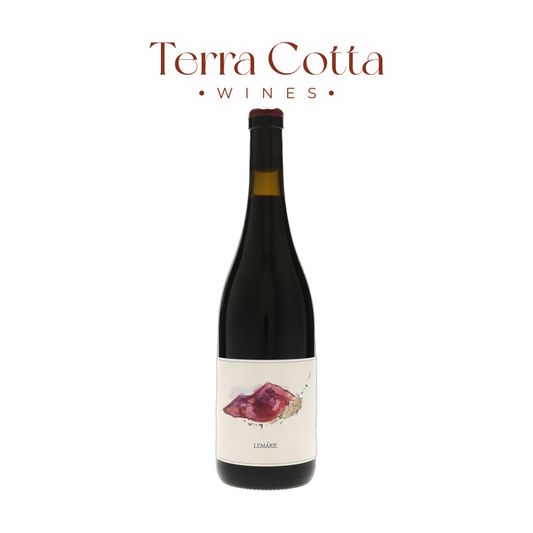 Montetino Montepulciano d'Abruzzo Le Marie 2024 wine bottle - Terra Cotta Wines