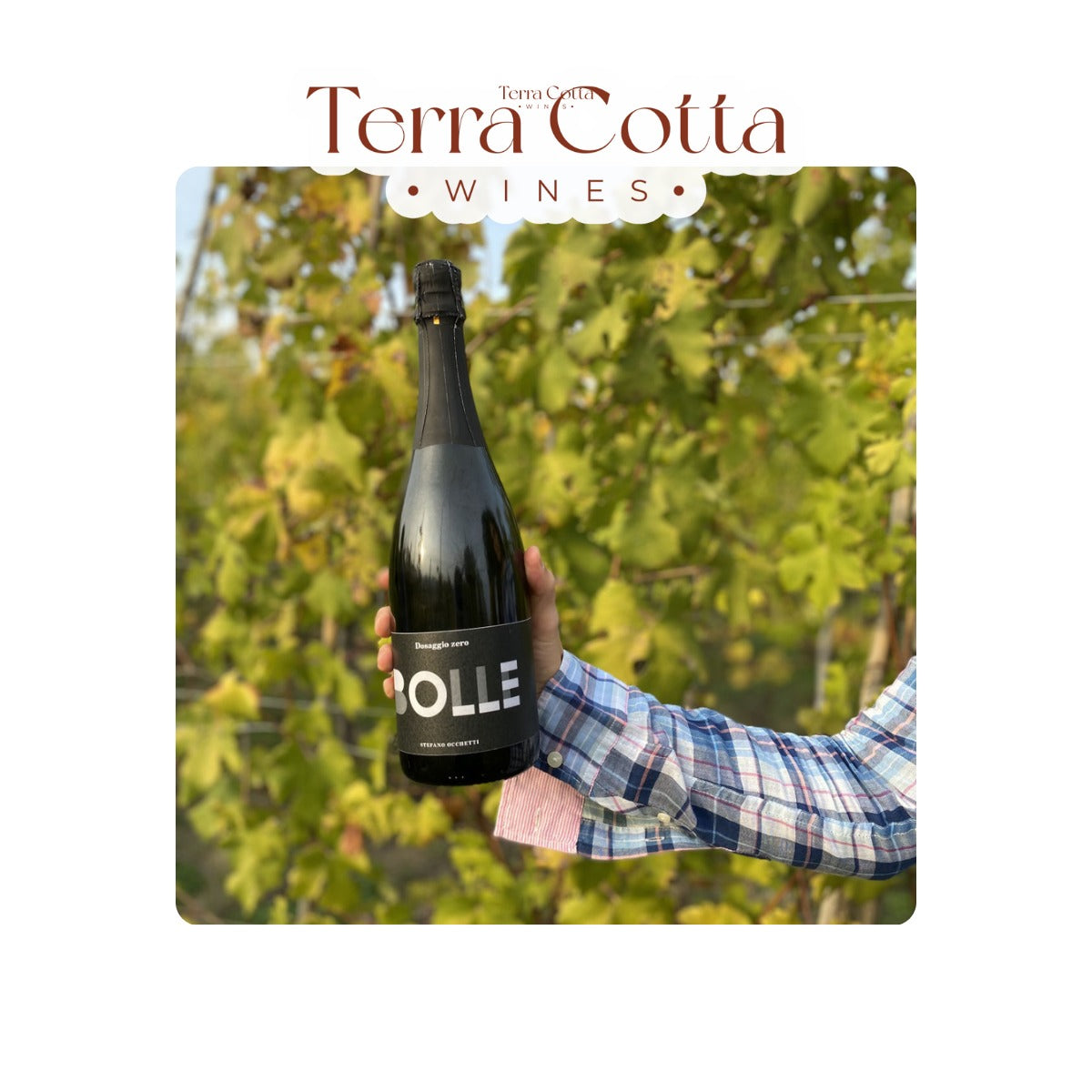 Stefano Occhetti "Bolle" Metodo Classico 2021 (750