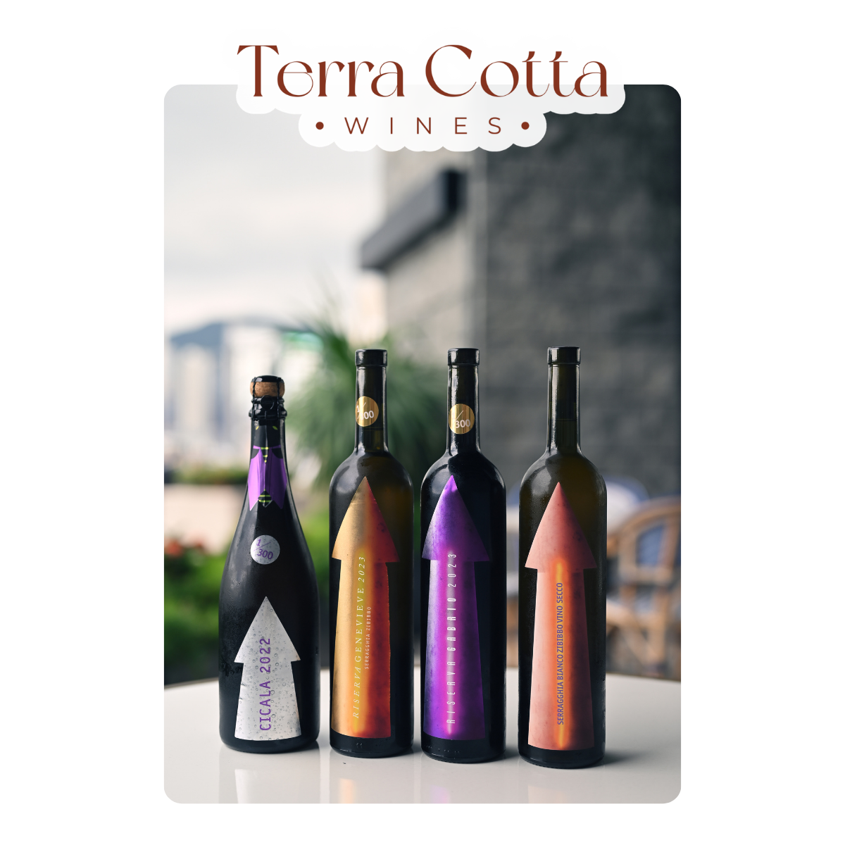 Gabrio Bini Cicala 2022 (750ml)