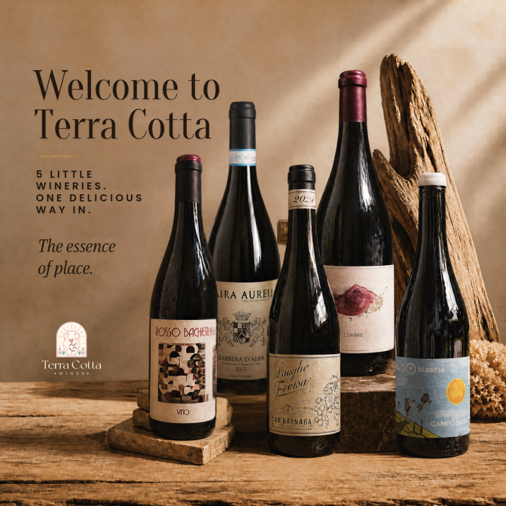 Welcome to Terra Cotta — 5-bottle bundle