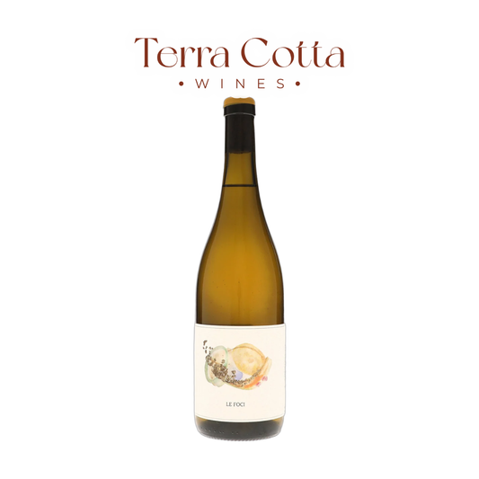 Montetino Trebbiano d'Abruzzo Le Foci 2024 (750ml) wine bottle - Terra Cotta Wines